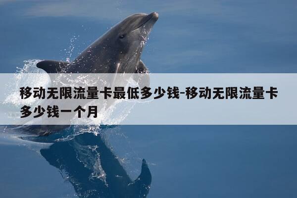 移动无限流量卡最低多少钱-移动无限流量卡多少钱一个月-第1张图片-优惠活动网 移动无限流量卡最低多少钱-移动无限流量卡多少钱一个月-第1张图片-优惠活动网