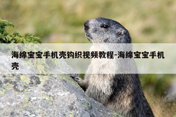 海绵宝宝手机壳钩织视频教程-海绵宝宝手机壳-第1张图片-优惠活动网