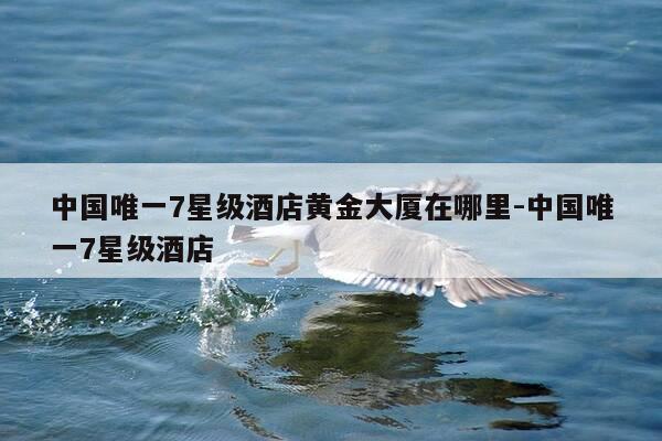 中国唯一7星级酒店黄金大厦在哪里-中国唯一7星级酒店-第1张图片-优惠活动网