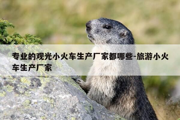 专业的观光小火车生产厂家都哪些-旅游小火车生产厂家-第1张图片-优惠活动网