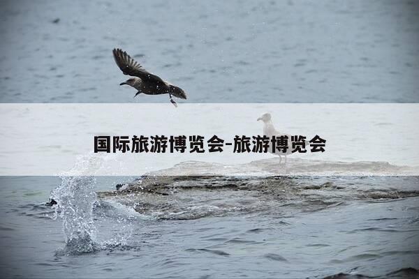 国际旅游博览会-旅游博览会-第1张图片-优惠活动网