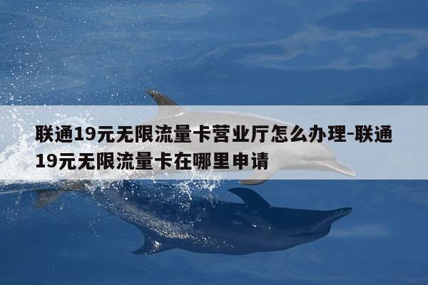 联通19元无限流量卡营业厅怎么办理-联通19元无限流量卡在哪里申请-第1张图片-优惠活动网