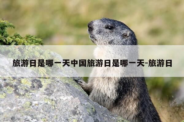 旅游日是哪一天中国旅游日是哪一天-旅游日-第1张图片-优惠活动网 旅游日是哪一天中国旅游日是哪一天-旅游日-第1张图片-优惠活动网