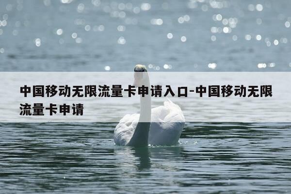 中国移动无限流量卡申请入口-中国移动无限流量卡申请-第1张图片-优惠活动网