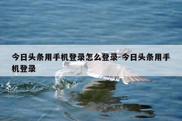 今日头条用手机登录怎么登录-今日头条用手机登录-第1张图片-优惠活动网