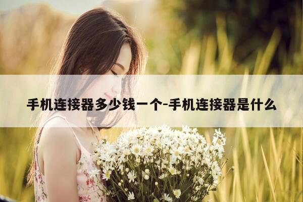 手机连接器多少钱一个-手机连接器是什么-第1张图片-优惠活动网 手机连接器多少钱一个-手机连接器是什么-第1张图片-优惠活动网