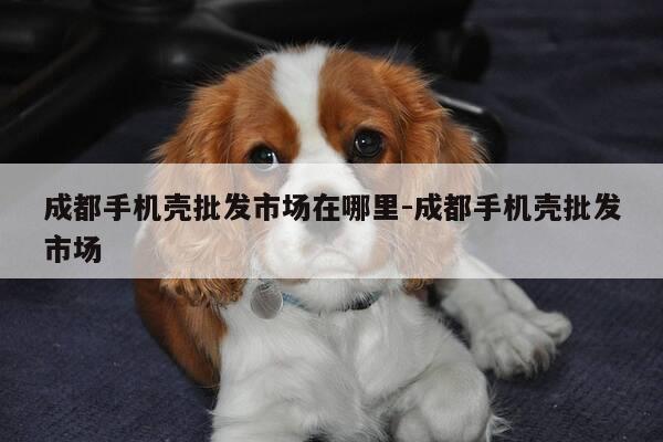 成都手机壳批发市场在哪里-成都手机壳批发市场-第1张图片-优惠活动网