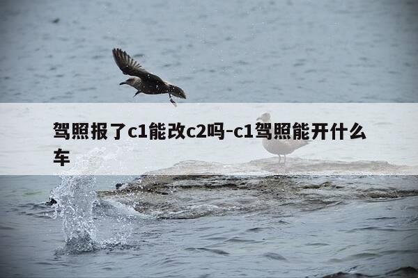 驾照报了c1能改c2吗-c1驾照能开什么车-第1张图片-优惠活动网