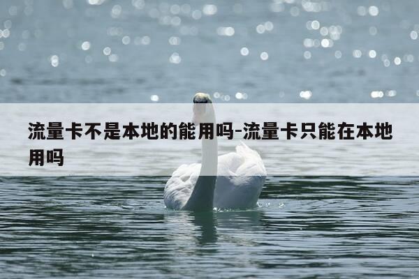 流量卡不是本地的能用吗-流量卡只能在本地用吗-第1张图片-优惠活动网