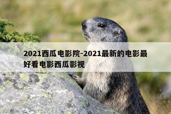 2021西瓜电影院-2021最新的电影最好看电影西瓜影视-第1张图片-优惠活动网 2021西瓜电影院-2021最新的电影最好看电影西瓜影视-第1张图片-优惠活动网
