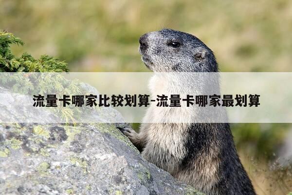 流量卡哪家比较划算-流量卡哪家最划算-第1张图片-优惠活动网 流量卡哪家比较划算-流量卡哪家最划算-第1张图片-优惠活动网