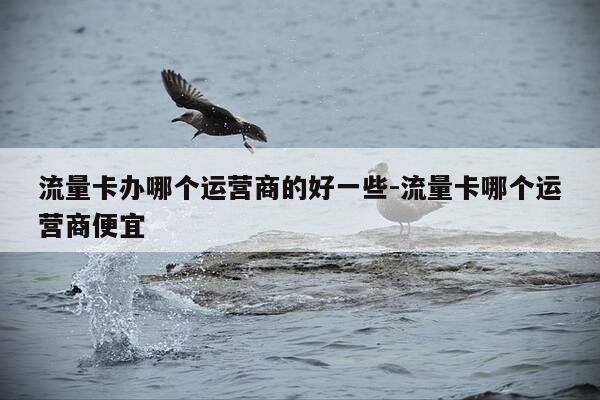 流量卡办哪个运营商的好一些-流量卡哪个运营商便宜-第1张图片-优惠活动网 流量卡办哪个运营商的好一些-流量卡哪个运营商便宜-第1张图片-优惠活动网