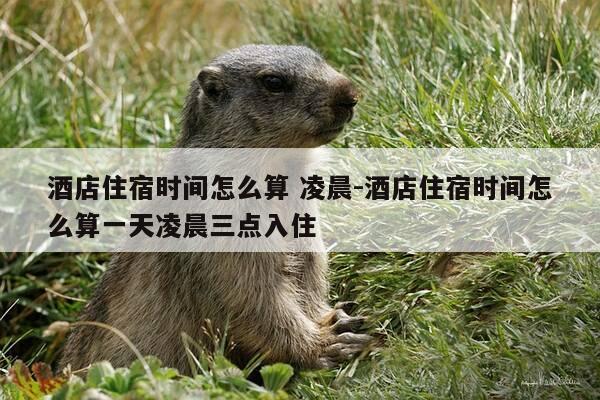酒店住宿时间怎么算 凌晨-酒店住宿时间怎么算一天凌晨三点入住-第1张图片-优惠活动网 酒店住宿时间怎么算 凌晨-酒店住宿时间怎么算一天凌晨三点入住-第1张图片-优惠活动网