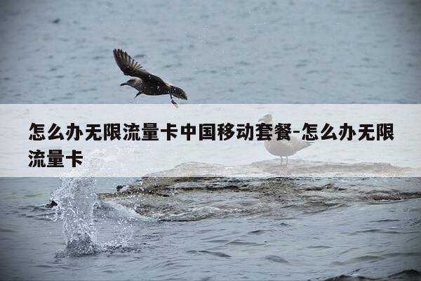 怎么办无限流量卡中国移动套餐-怎么办无限流量卡-第1张图片-优惠活动网