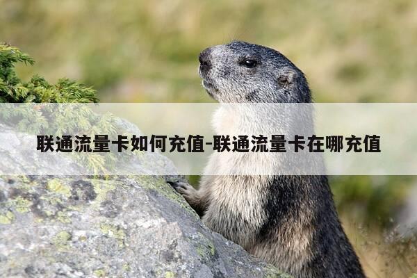 联通流量卡如何充值-联通流量卡在哪充值-第1张图片-优惠活动网