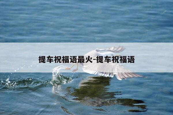 提车祝福语最火-提车祝福语-第1张图片-优惠活动网
