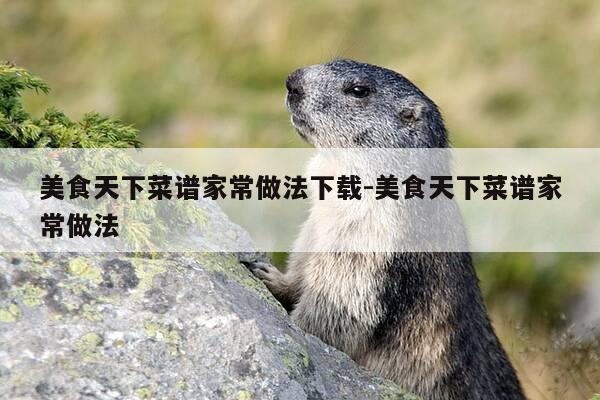 美食天下菜谱家常做法下载-美食天下菜谱家常做法-第1张图片-优惠活动网