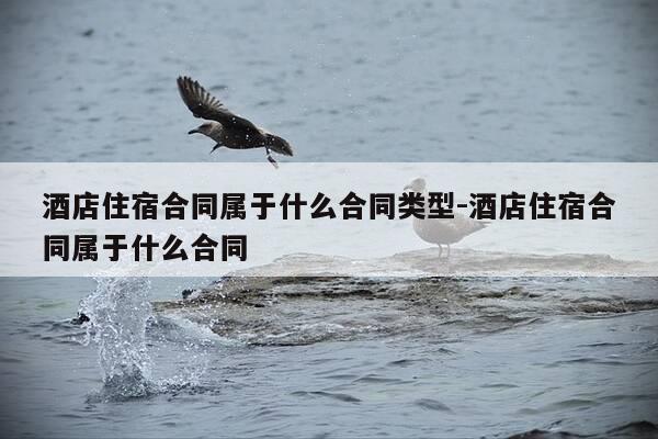 酒店住宿合同属于什么合同类型-酒店住宿合同属于什么合同-第1张图片-优惠活动网 酒店住宿合同属于什么合同类型-酒店住宿合同属于什么合同-第1张图片-优惠活动网