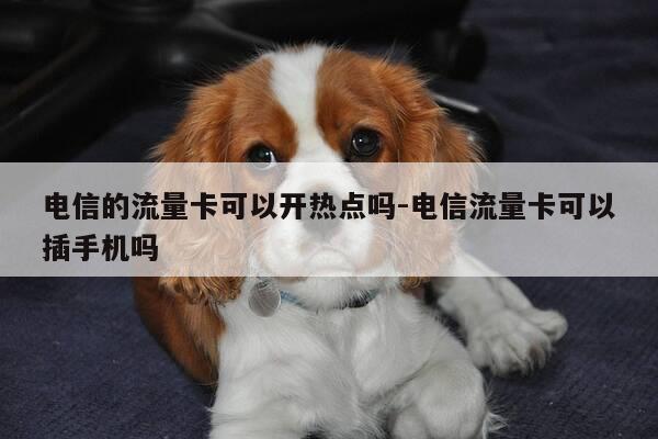 电信的流量卡可以开热点吗-电信流量卡可以插手机吗-第1张图片-优惠活动网