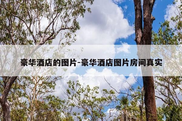 豪华酒店的图片-豪华酒店图片房间真实-第1张图片-优惠活动网