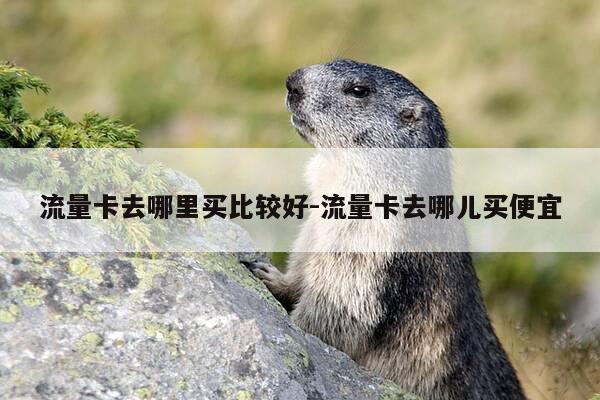 流量卡去哪里买比较好-流量卡去哪儿买便宜-第1张图片-优惠活动网