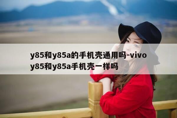 y85和y85a的手机壳通用吗-vivoy85和y85a手机壳一样吗-第1张图片-优惠活动网