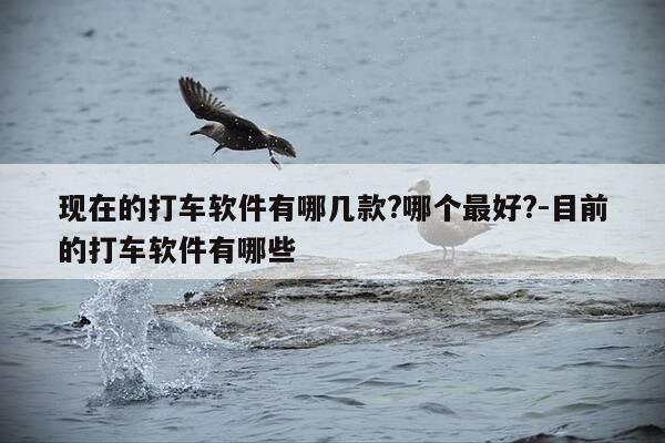 现在的打车软件有哪几款?哪个最好?-目前的打车软件有哪些-第1张图片-优惠活动网