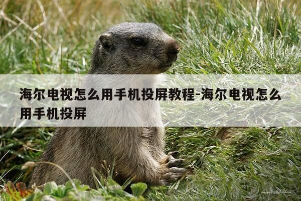 海尔电视怎么用手机投屏教程-海尔电视怎么用手机投屏-第1张图片-优惠活动网 海尔电视怎么用手机投屏教程-海尔电视怎么用手机投屏-第1张图片-优惠活动网
