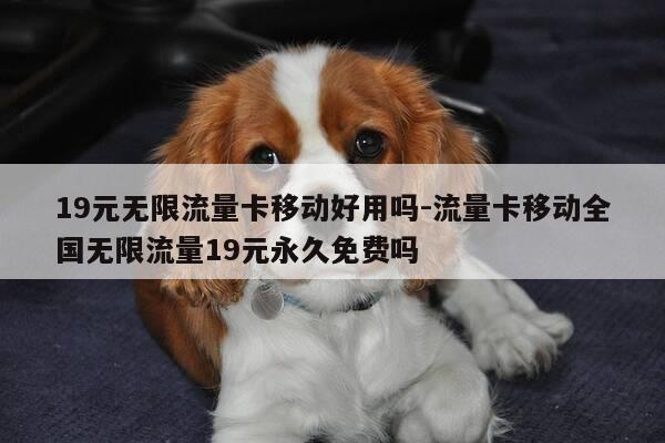 19元无限流量卡移动好用吗-流量卡移动全国无限流量19元永久免费吗-第1张图片-优惠活动网