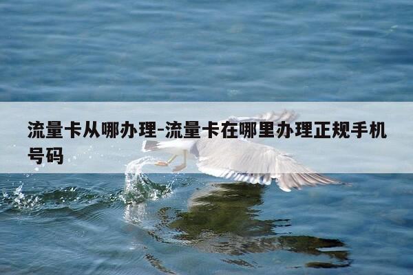 流量卡从哪办理-流量卡在哪里办理正规手机号码-第1张图片-优惠活动网