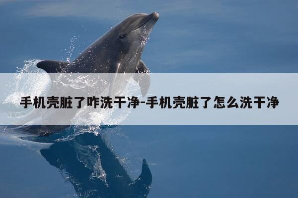 手机壳脏了咋洗干净-手机壳脏了怎么洗干净-第1张图片-优惠活动网