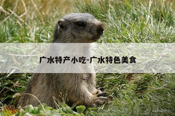 广水特产小吃-广水特色美食-第1张图片-优惠活动网