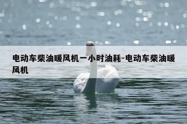 电动车柴油暖风机一小时油耗-电动车柴油暖风机-第1张图片-优惠活动网