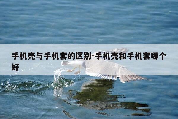 手机壳与手机套的区别-手机壳和手机套哪个好-第1张图片-优惠活动网
