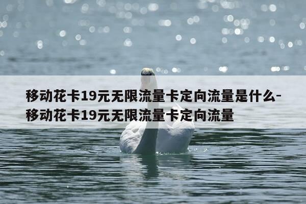 移动花卡19元无限流量卡定向流量是什么-移动花卡19元无限流量卡定向流量-第1张图片-优惠活动网 移动花卡19元无限流量卡定向流量是什么-移动花卡19元无限流量卡定向流量-第1张图片-优惠活动网