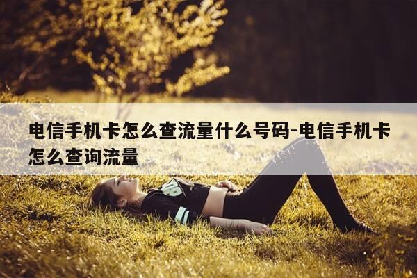 电信手机卡怎么查流量什么号码-电信手机卡怎么查询流量-第1张图片-优惠活动网