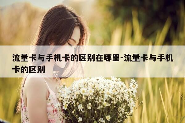 流量卡与手机卡的区别在哪里-流量卡与手机卡的区别-第1张图片-优惠活动网