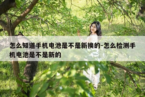 怎么知道手机电池是不是新换的-怎么检测手机电池是不是新的-第1张图片-优惠活动网