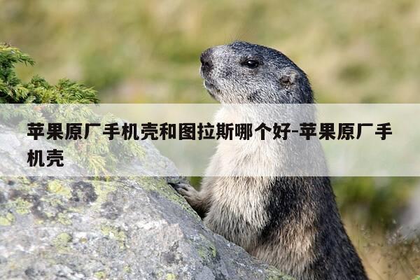 苹果原厂手机壳和图拉斯哪个好-苹果原厂手机壳-第1张图片-优惠活动网