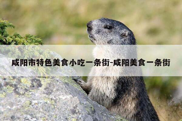 咸阳市特色美食小吃一条街-咸阳美食一条街-第1张图片-优惠活动网