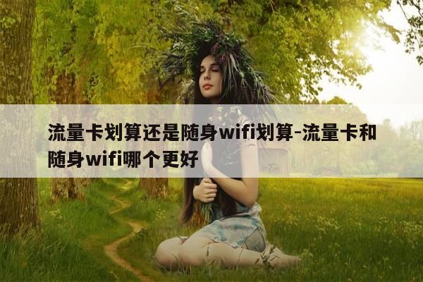 流量卡划算还是随身wifi划算-流量卡和随身wifi哪个更好-第1张图片-优惠活动网