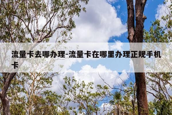 流量卡去哪办理-流量卡在哪里办理正规手机卡-第1张图片-优惠活动网