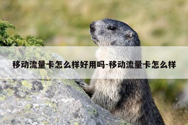 移动流量卡怎么样好用吗-移动流量卡怎么样-第1张图片-优惠活动网 移动流量卡怎么样好用吗-移动流量卡怎么样-第1张图片-优惠活动网