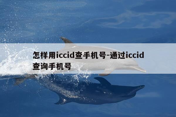 怎样用iccid查手机号-通过iccid查询手机号-第1张图片-优惠活动网