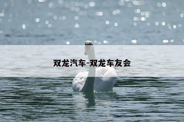 双龙汽车-双龙车友会-第1张图片-优惠活动网