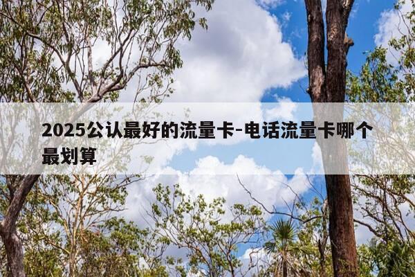 2025公认最好的流量卡-电话流量卡哪个最划算-第1张图片-优惠活动网
