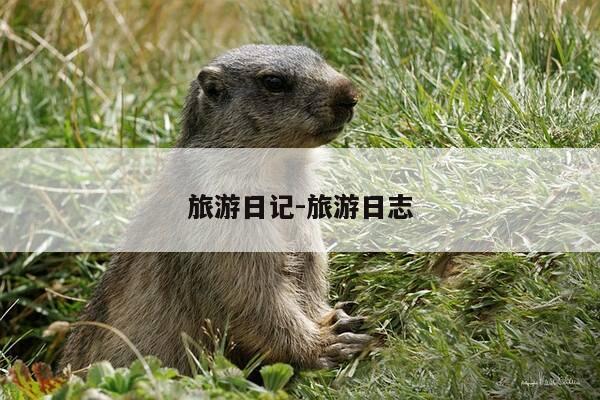 旅游日记-旅游日志-第1张图片-优惠活动网
