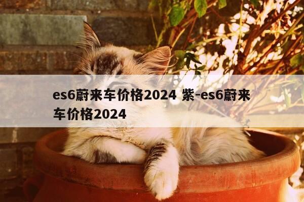 es6蔚来车价格2024 紫-es6蔚来车价格2024-第1张图片-优惠活动网 es6蔚来车价格2024 紫-es6蔚来车价格2024-第1张图片-优惠活动网