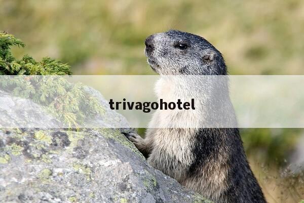 trivagohotel-第1张图片-优惠活动网 trivagohotel-第1张图片-优惠活动网