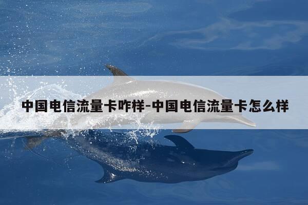 中国电信流量卡咋样-中国电信流量卡怎么样-第1张图片-优惠活动网 中国电信流量卡咋样-中国电信流量卡怎么样-第1张图片-优惠活动网
